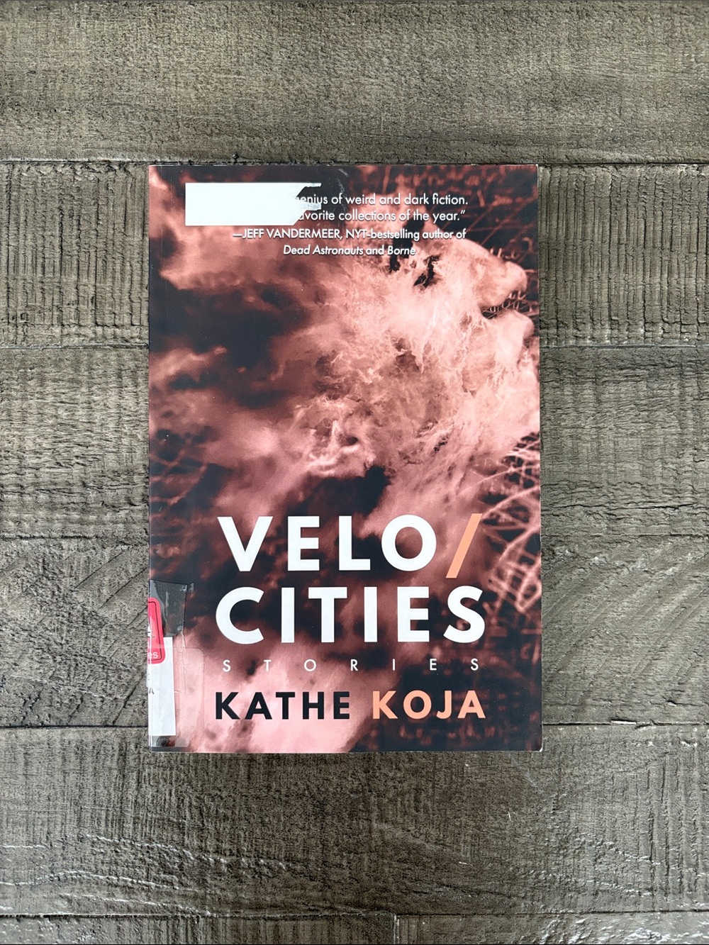 Velocities Stories by Kathe Koja Paperback Book